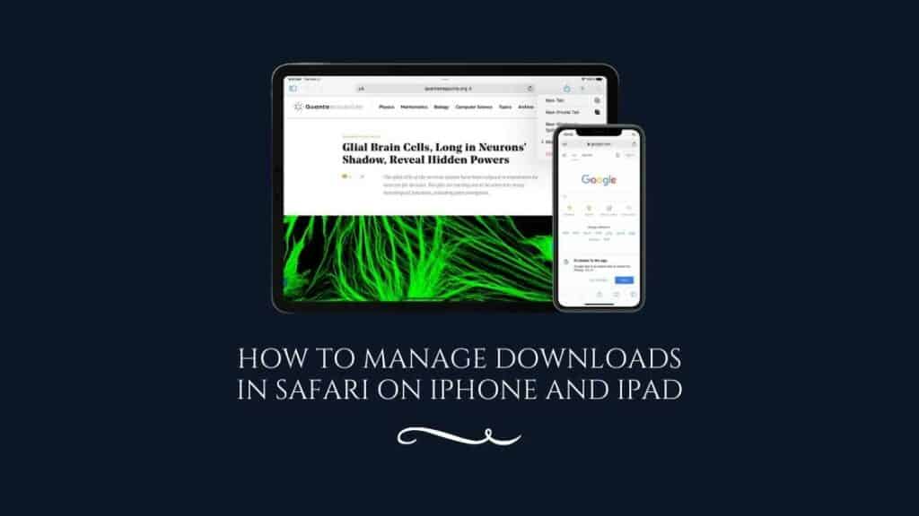 How To Manage Downloads In Safari On iPhone And iPad