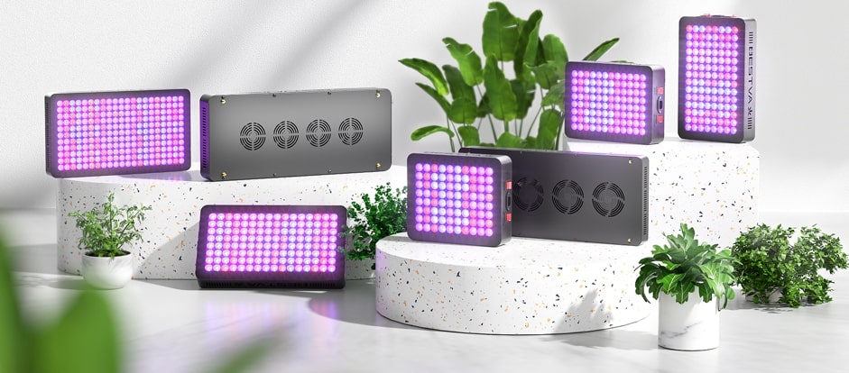 Chinese LED Grow Lights Review