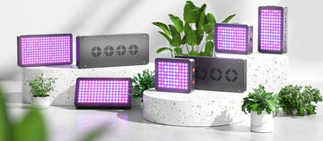 Chinese LED Grow Lights Review