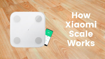 How the Xiaomi Scale Works